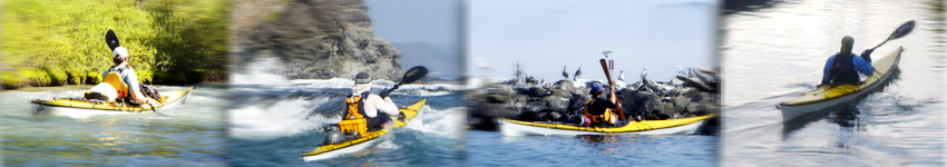 canoe kayak innovation industry professional award nominee seeker trak world paddle awards sportscene nelo